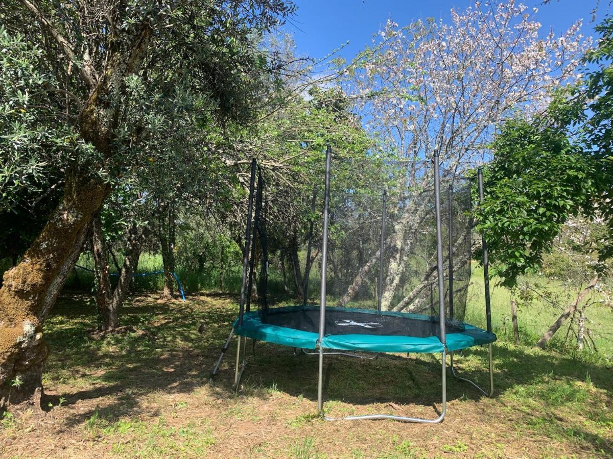 Villa Casa Agostinho - With Private Pool Near Coimbra Graca Esterno foto